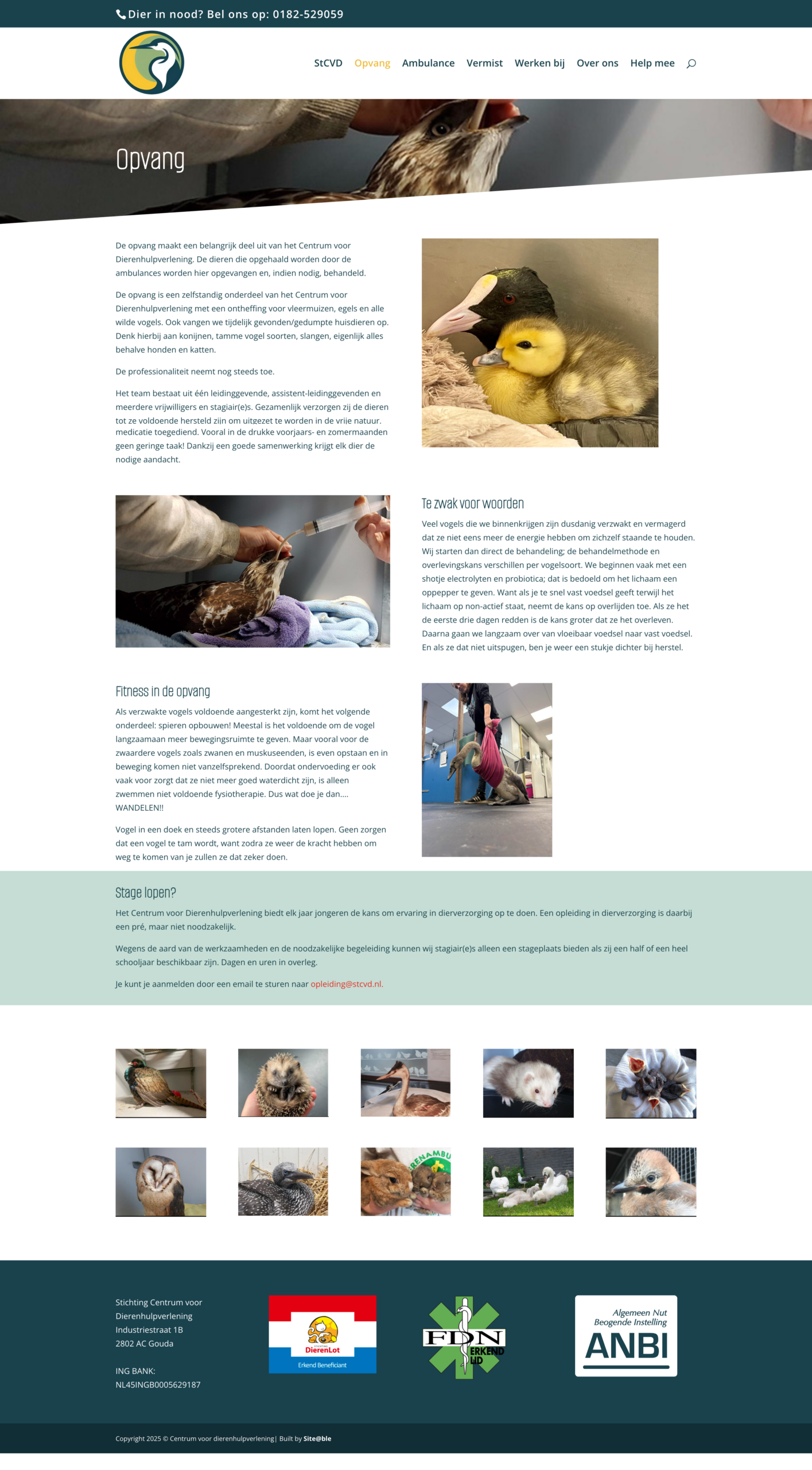 website pagina 2